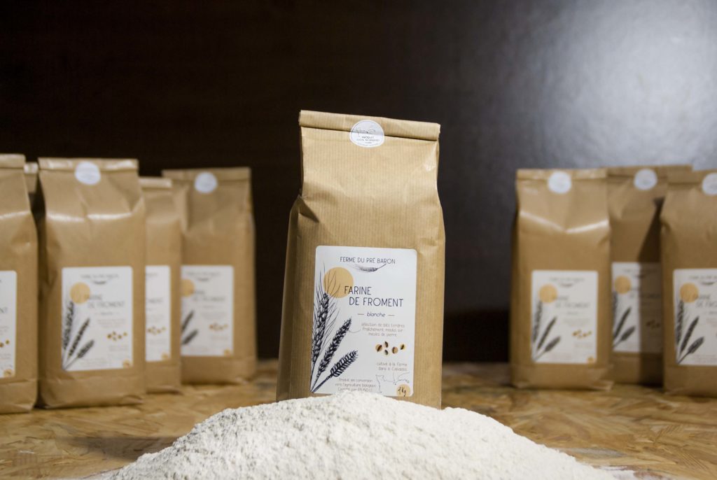 Gluten de blé Bio 1kg - Poudre de gluten de blé - Contient des protéines -  Pour la confection